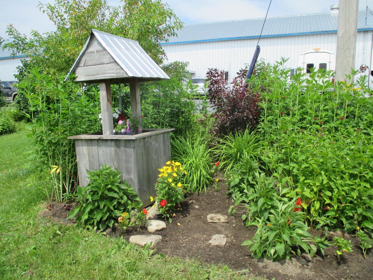 Gite Agricole Les Lilas Saint Wenceslas Exteriör bild